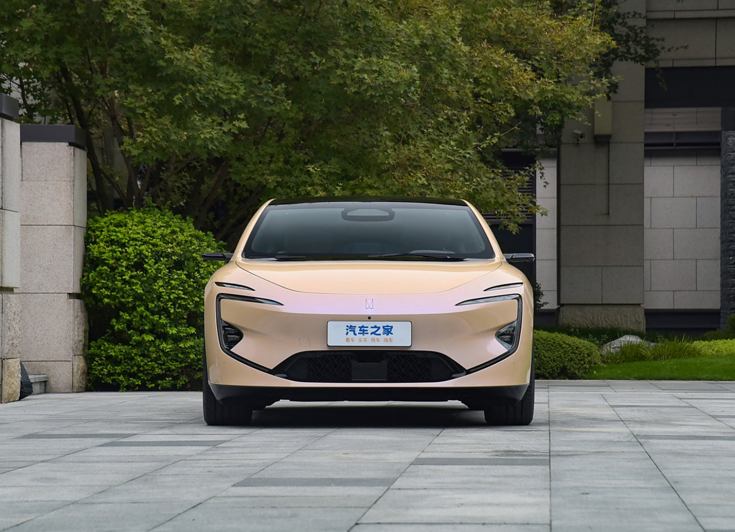 Аватр 12, 2025 г., издание Королевского театра