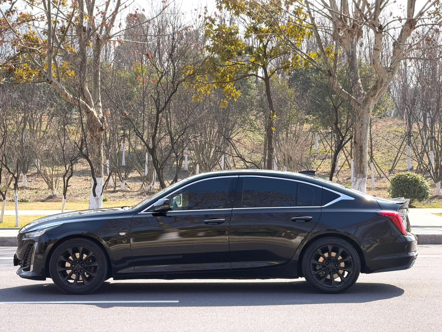 Used Cadillac CT5 2022 2.0T 28T Luxury Automatic