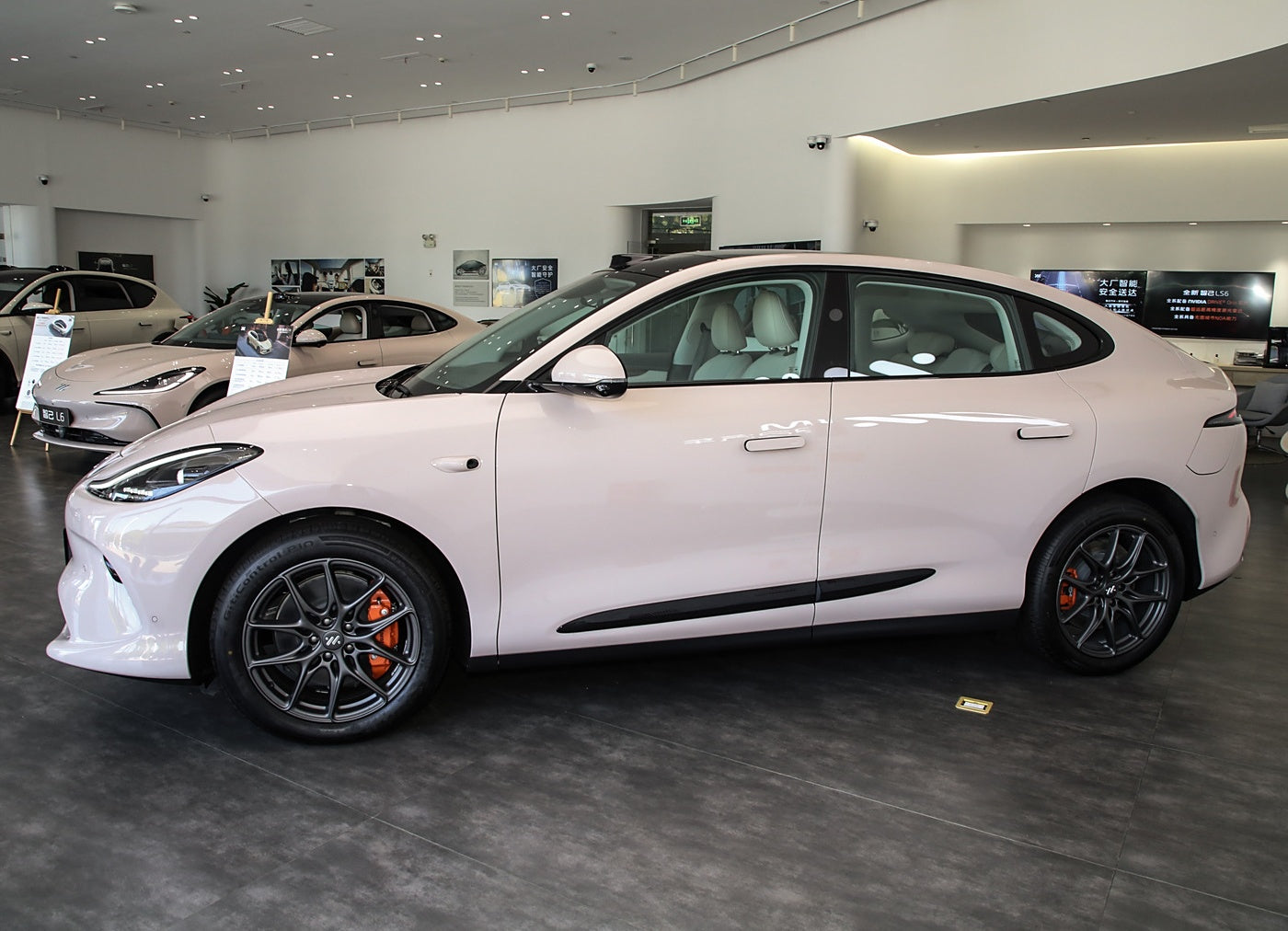 IM MOTOR LS6 2025 Lizard Smart Driving Edition
