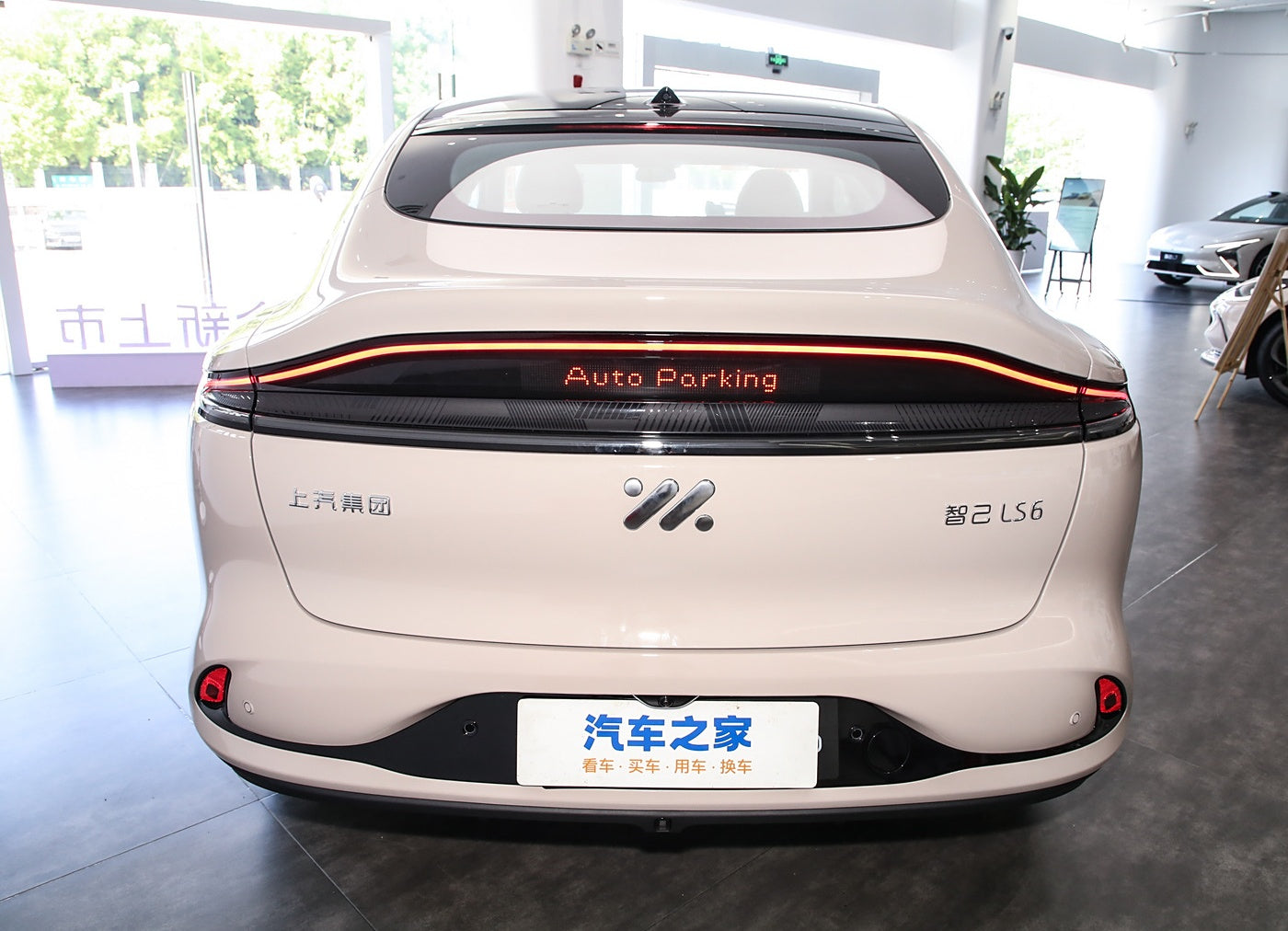 IM MOTOR LS6 2025 Lizard Smart Driving Edition
