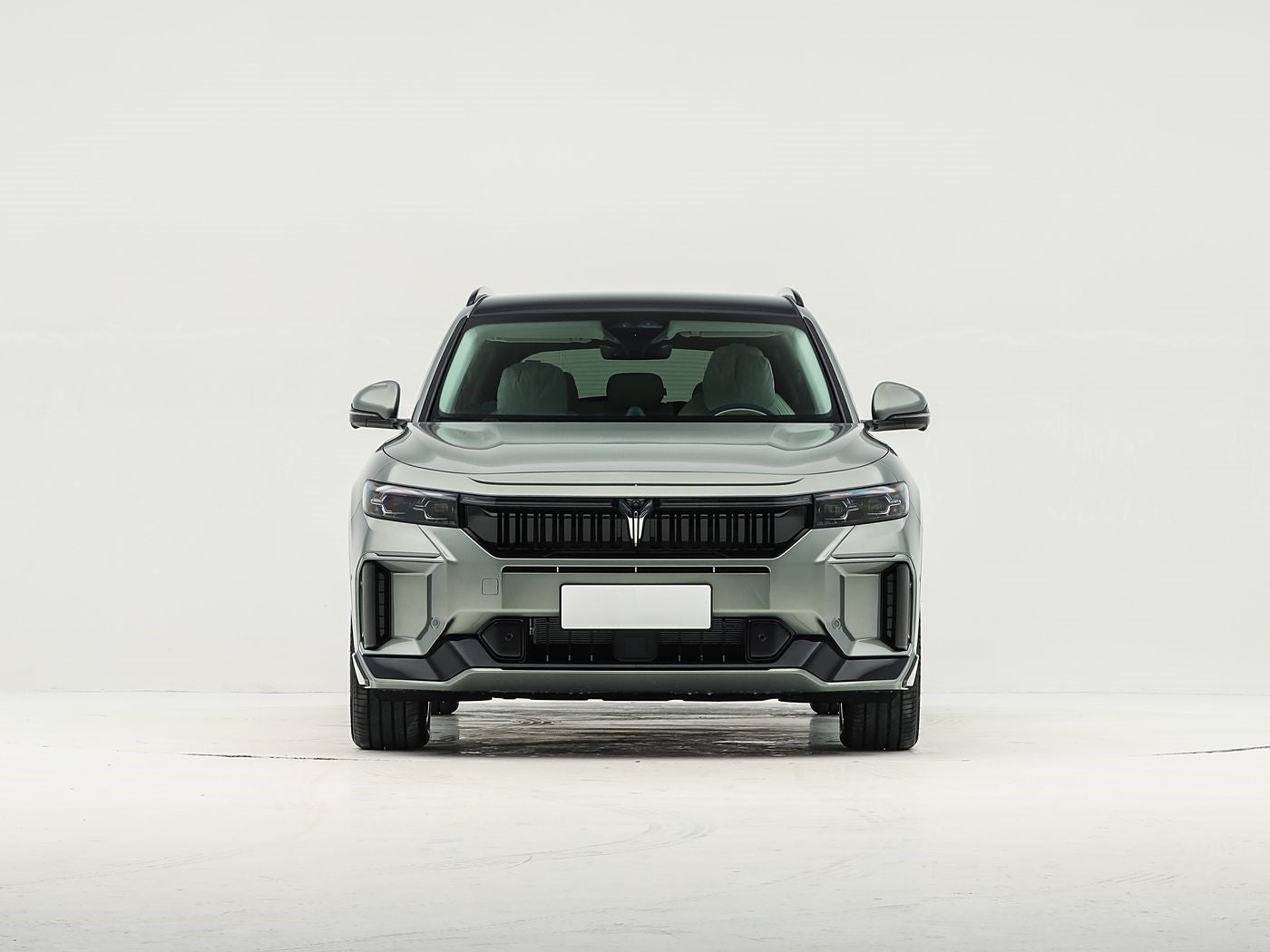 VOYAH FREE 2025 318km Rear-Wheel Drive Huanhuan Edition