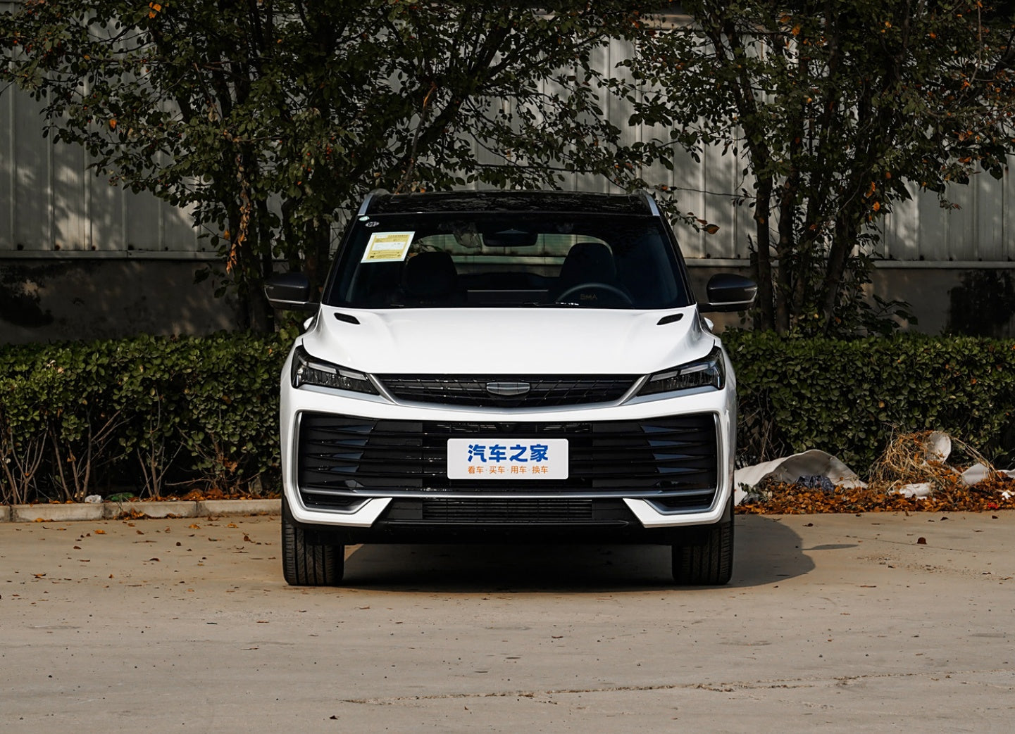 Geely Coolray (Binyue)L 1.5TD DCT Starshine Edition