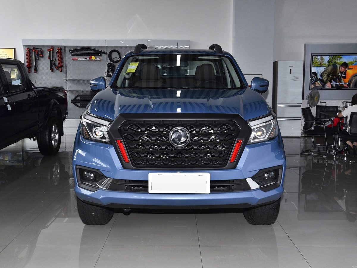 Dongfeng Rich 6 Pro 2026 - exterior reference image 2