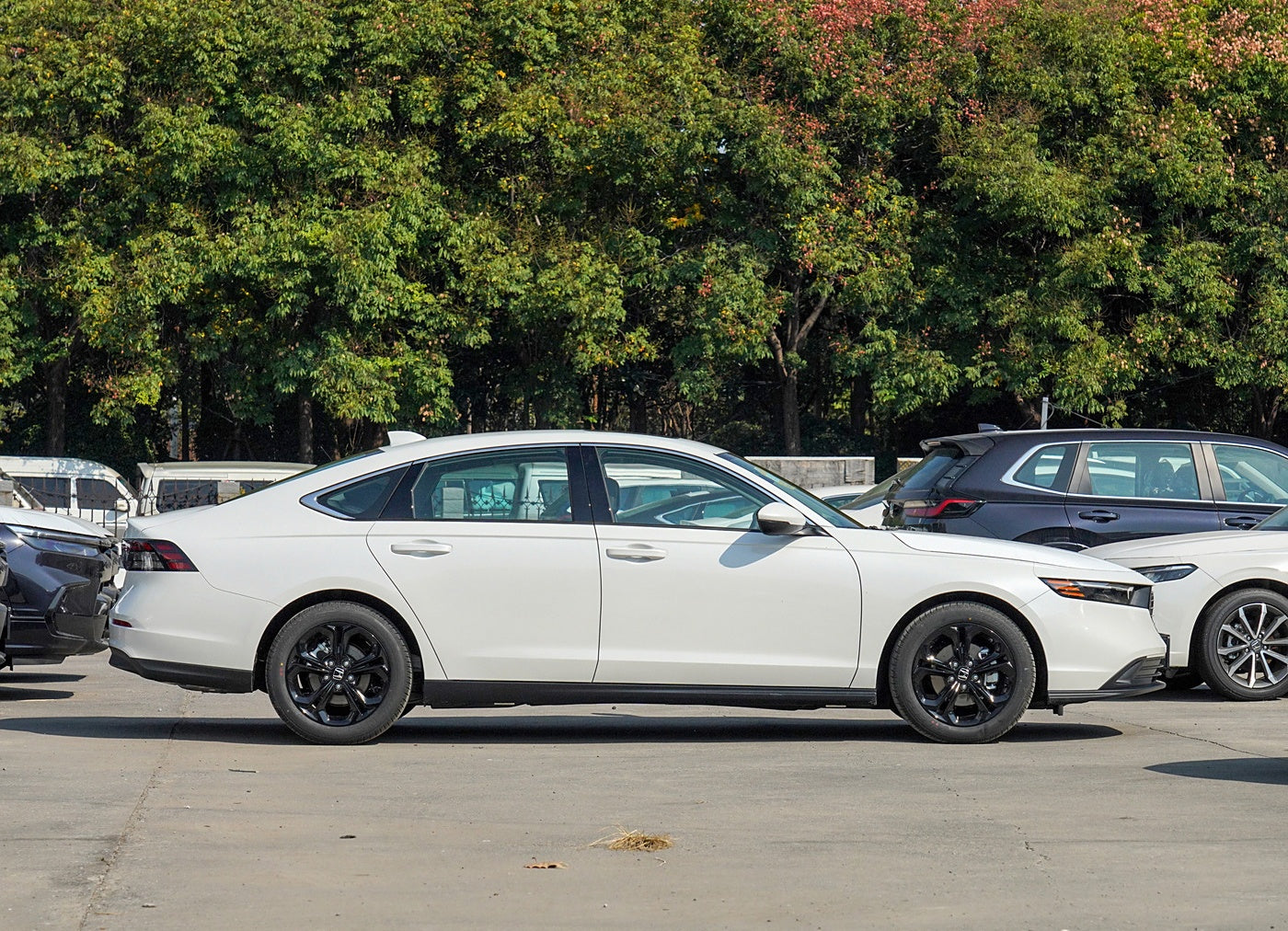 Honda 2025 Accord 260 TURBO Luxury Edition