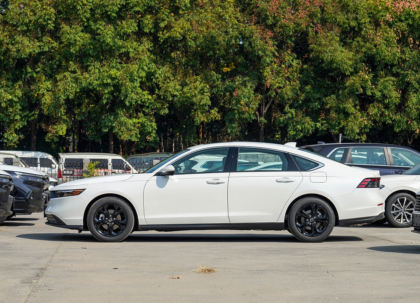 Honda 2025 Accord 260 TURBO Luxury Edition