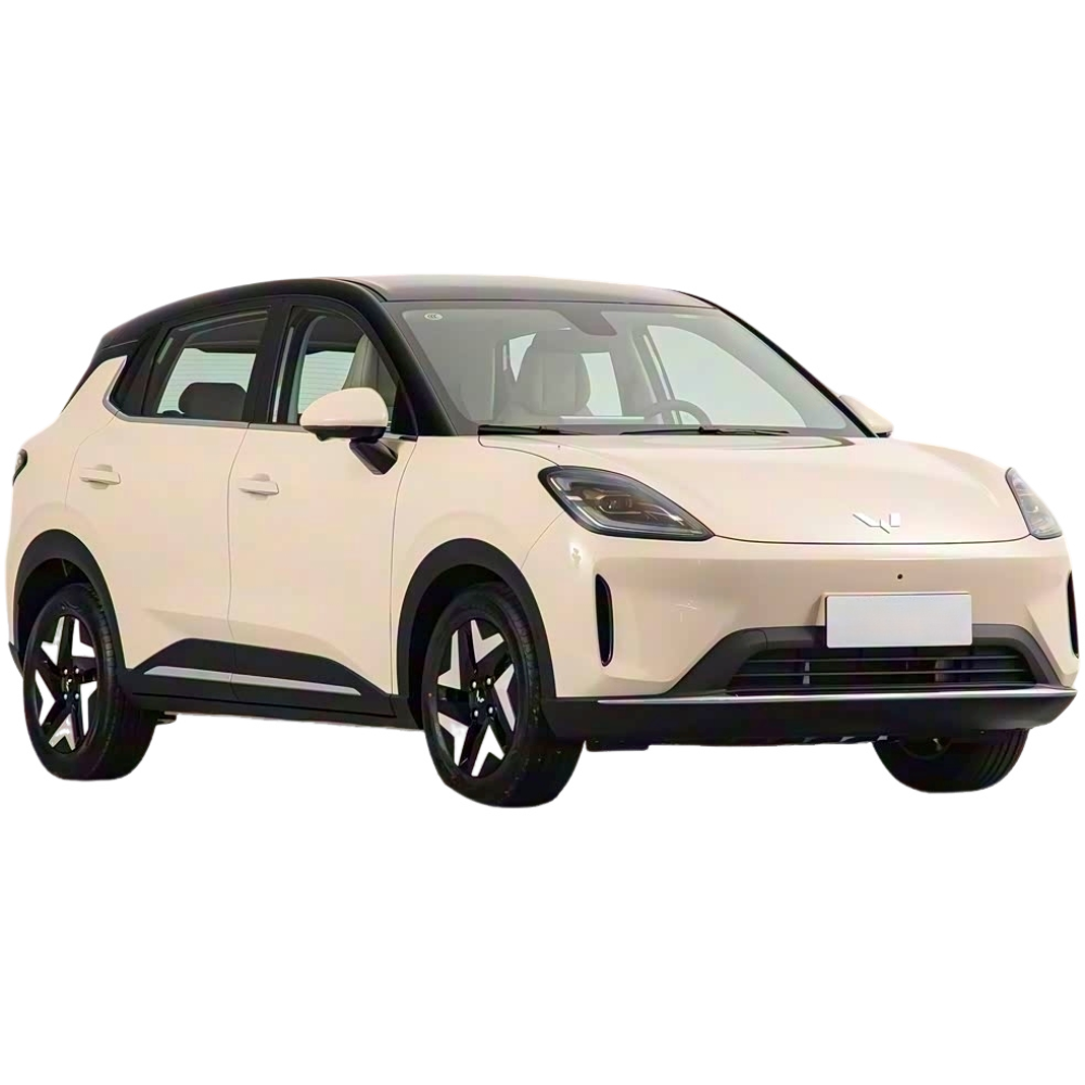 Wuling Bingo S 2025 430km Flagship Edition