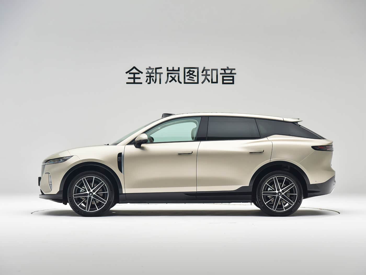 VOYAH Courage（知音） 2025 Rear-Wheel Drive Qianxiu Edition