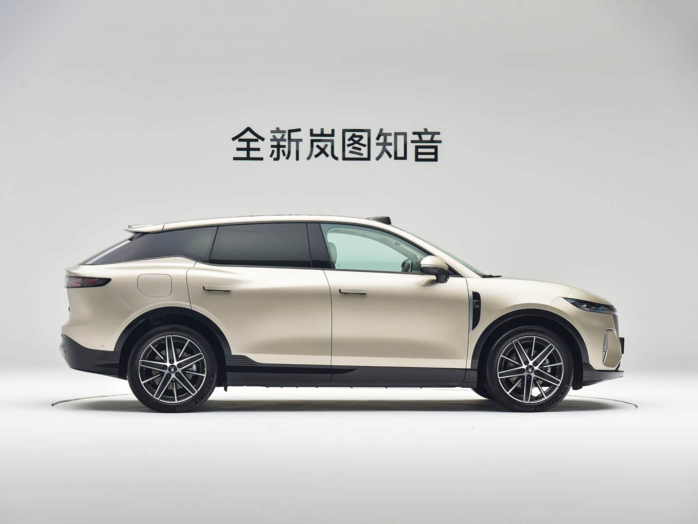 VOYAH Courage（知音） 2025 Rear-Wheel Drive Qianxiu Edition
