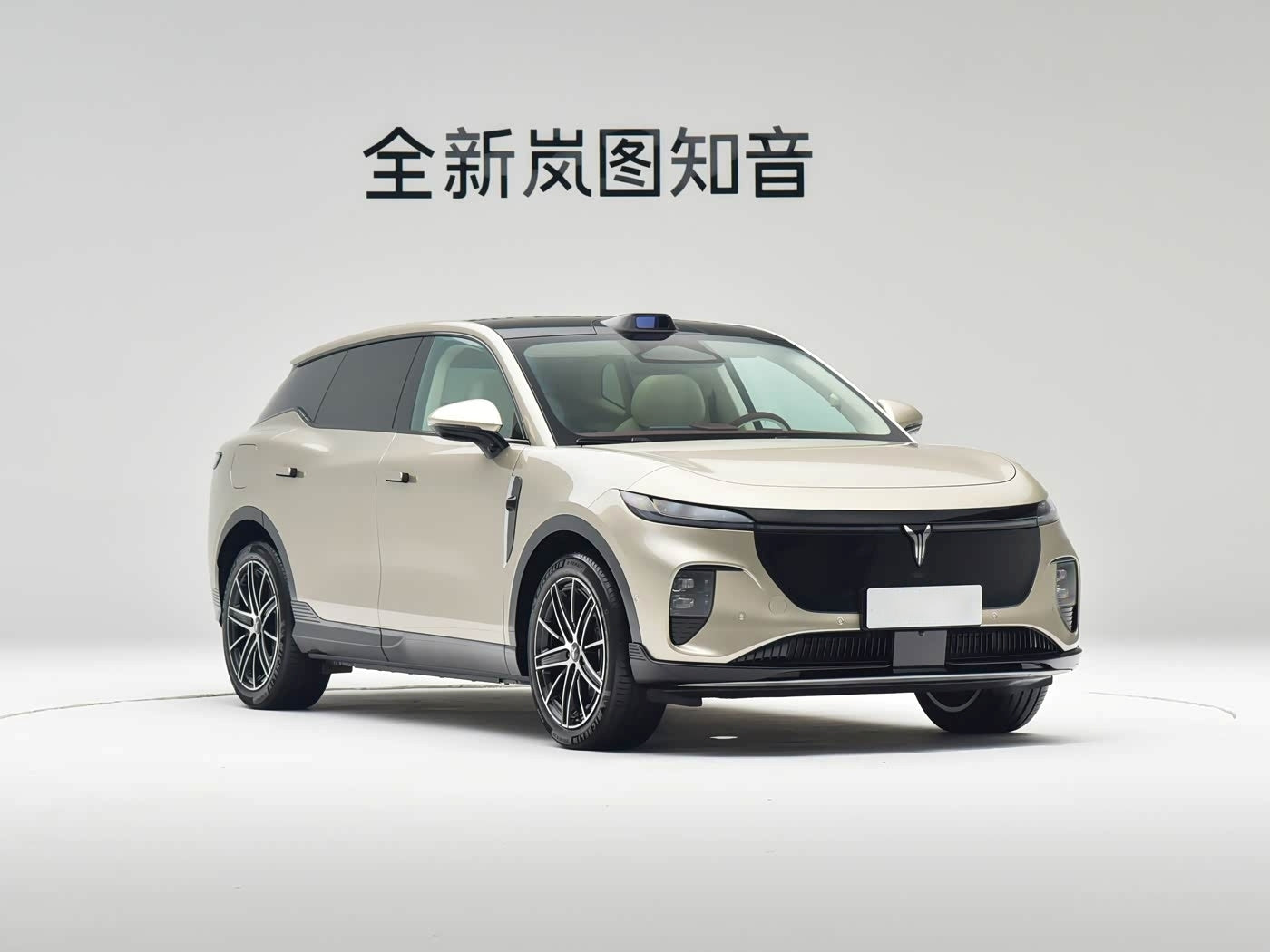 VOYAH Courage（知音） 2025 Rear-Wheel Drive Qianxiu Edition