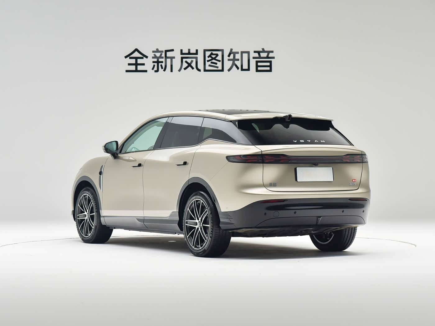 VOYAH Courage（知音） 2025 Rear-Wheel Drive Qianxiu Edition