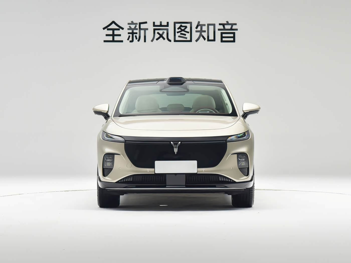 VOYAH Courage（知音） 2025 Rear-Wheel Drive Qianxiu Edition