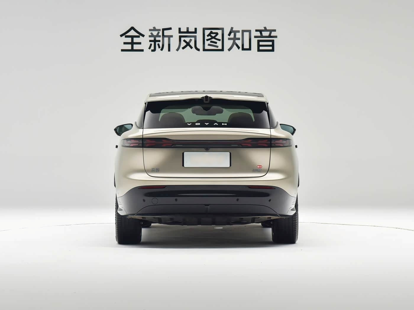 VOYAH Courage（知音） 2025 Rear-Wheel Drive Qianxiu Edition