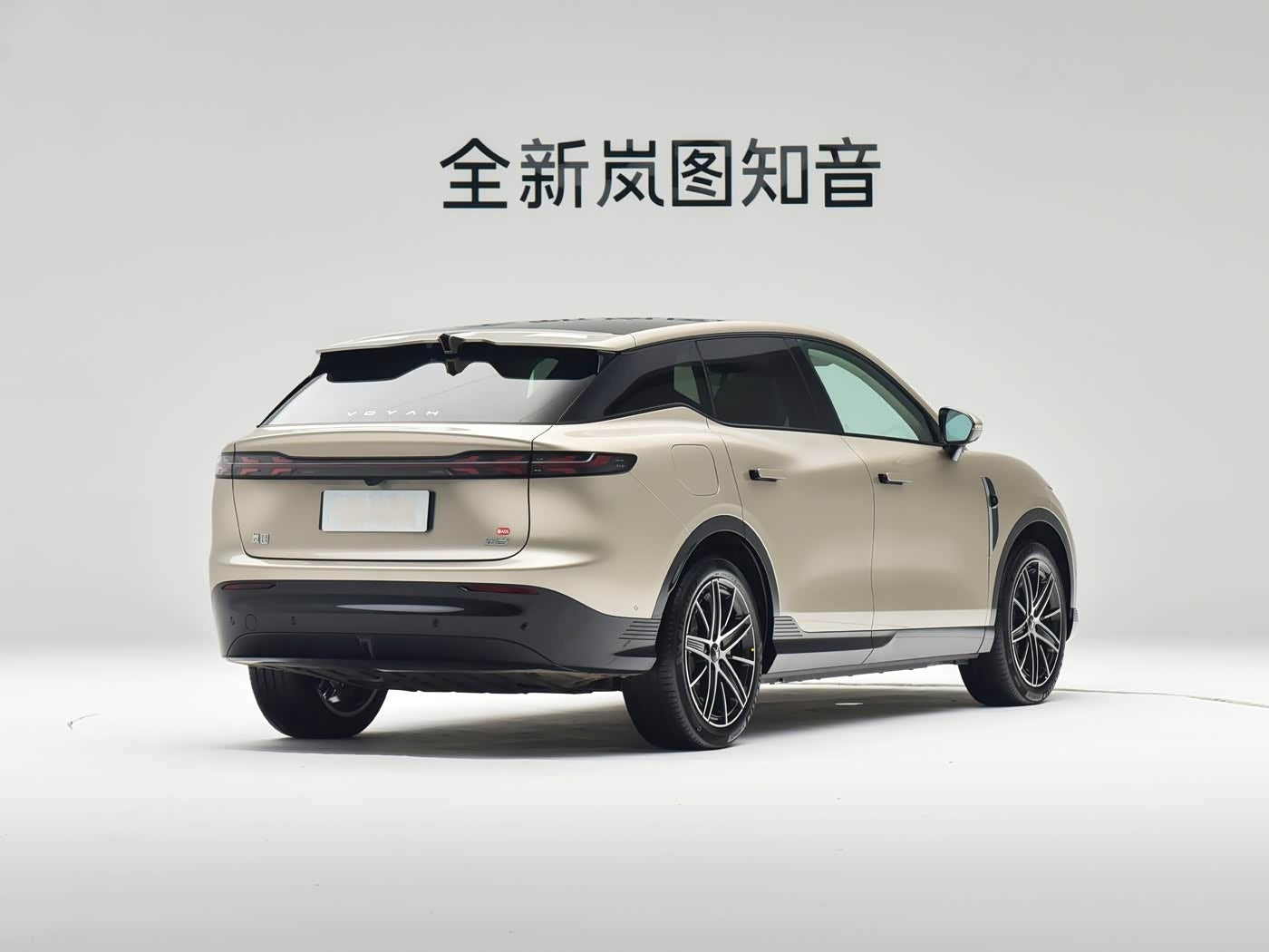 VOYAH Courage（知音） 2025 Rear-Wheel Drive Qianxiu Edition