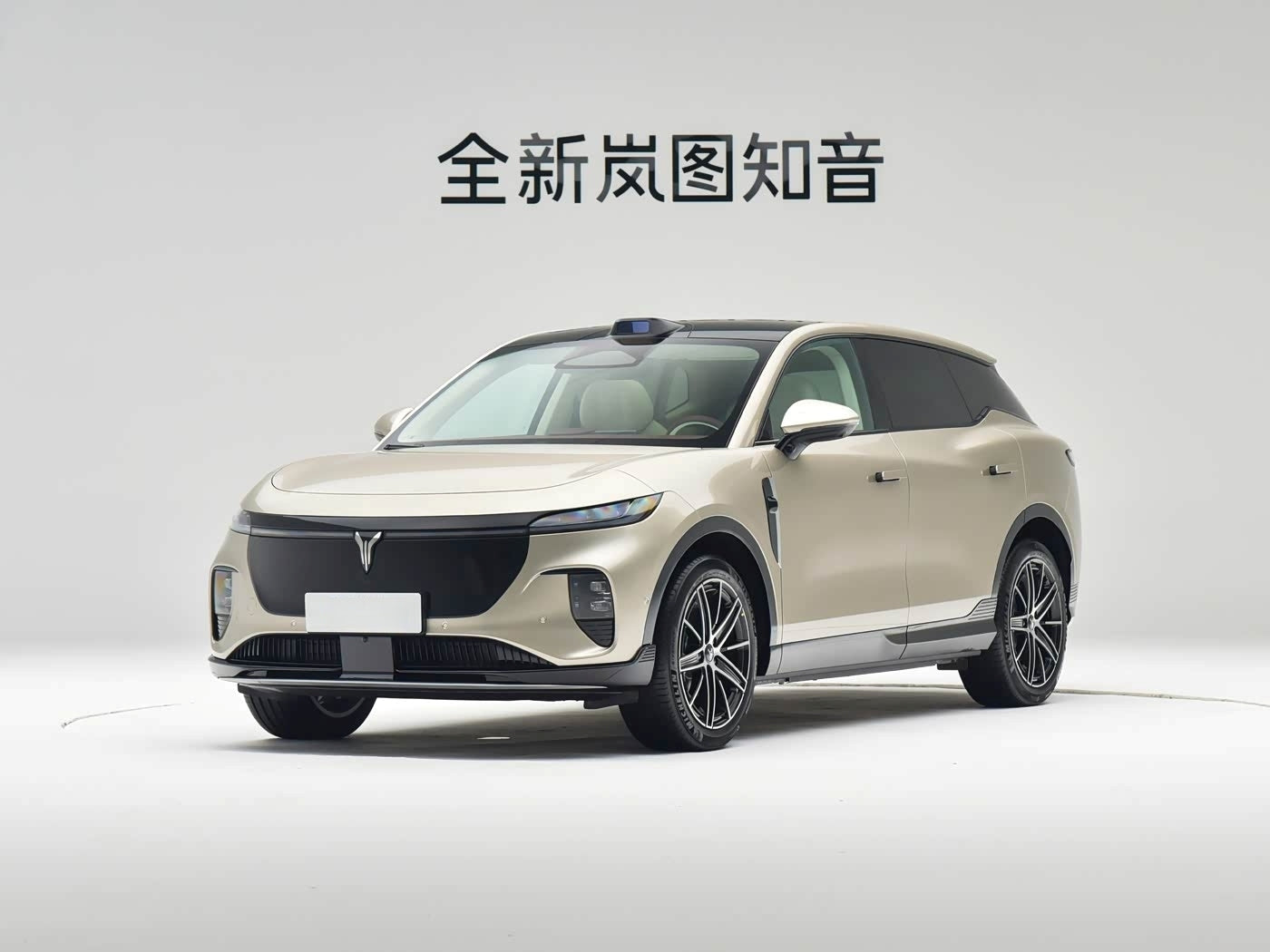 VOYAH Courage（知音） 2025 Rear-Wheel Drive Qianxiu Edition