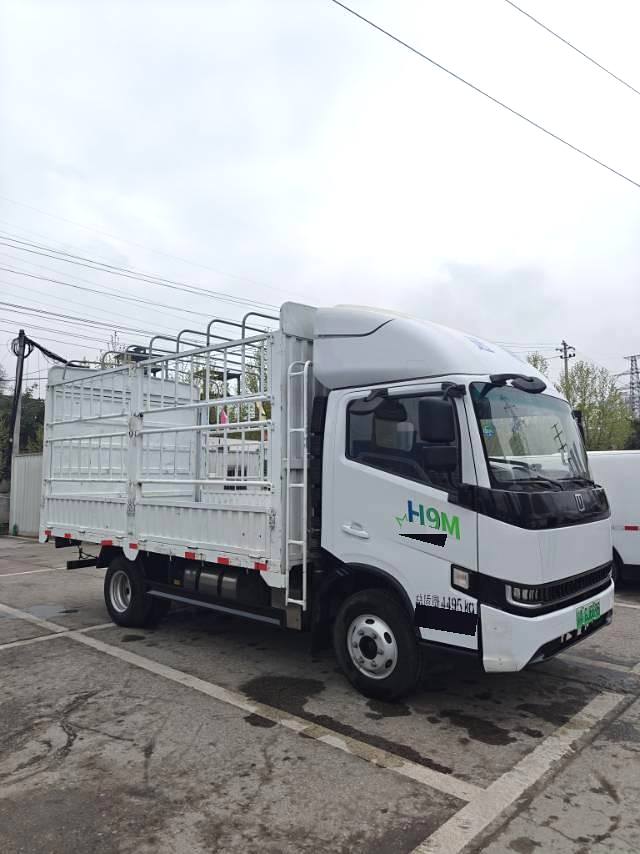 Geely Farizon Starwise F5E EV 2025 Model | Automatic Electric Stake Van