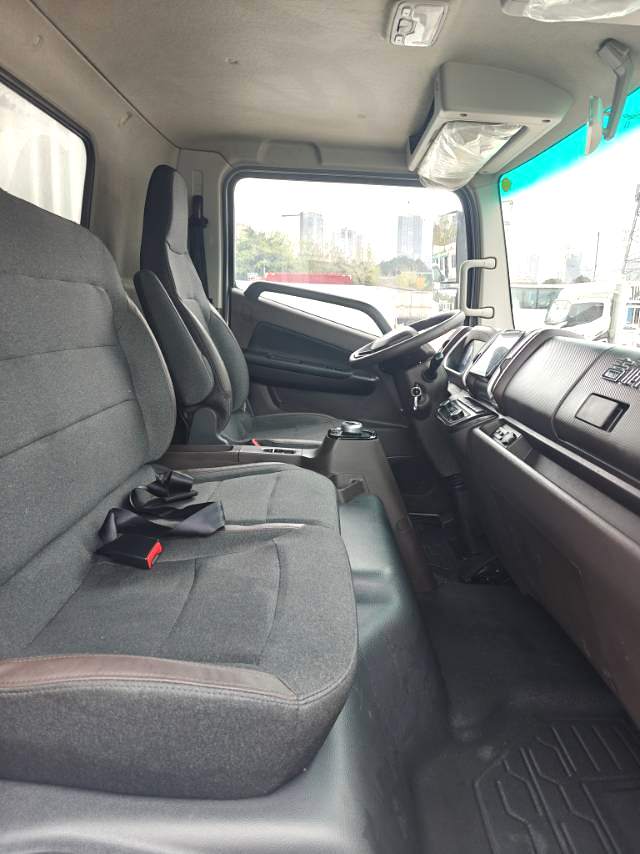 Geely Farizon Starwise F5E EV 2025 Model | Automatic Electric Stake Van