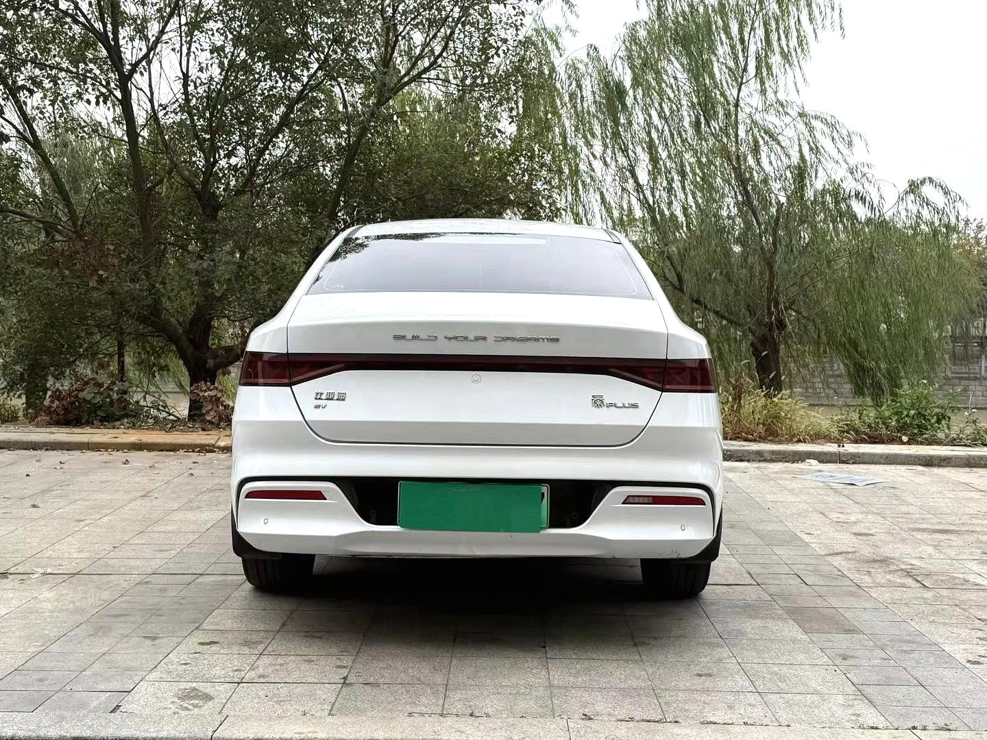 Used BYD Qin Plus EV 2023 510KM Champion Leading