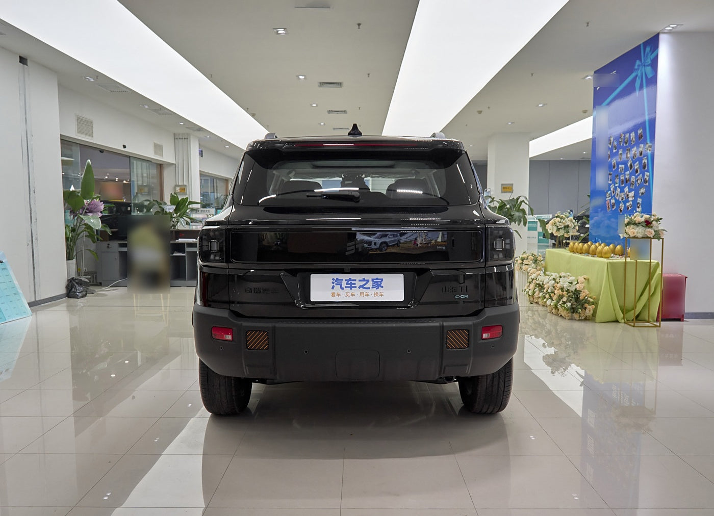 JETOUR Shanhai T1 2025 150km Xianghu