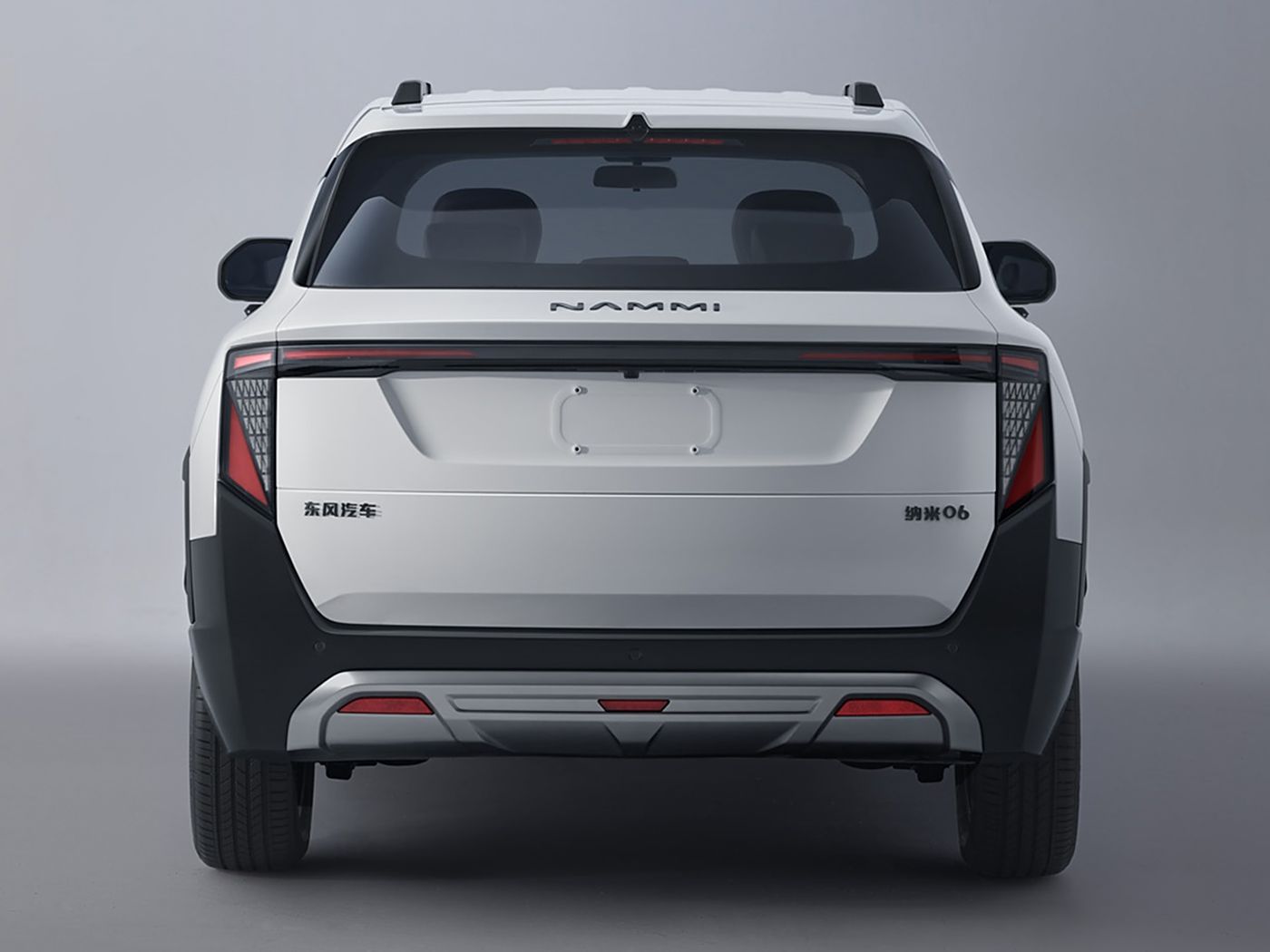 NAMII 06 2025 401 AIR