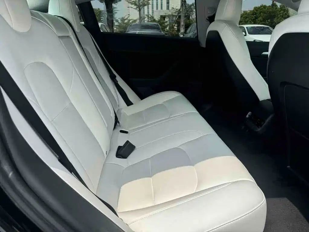 Used Tesla Model 3 2021 Standard Range Plus RWD (BEV)