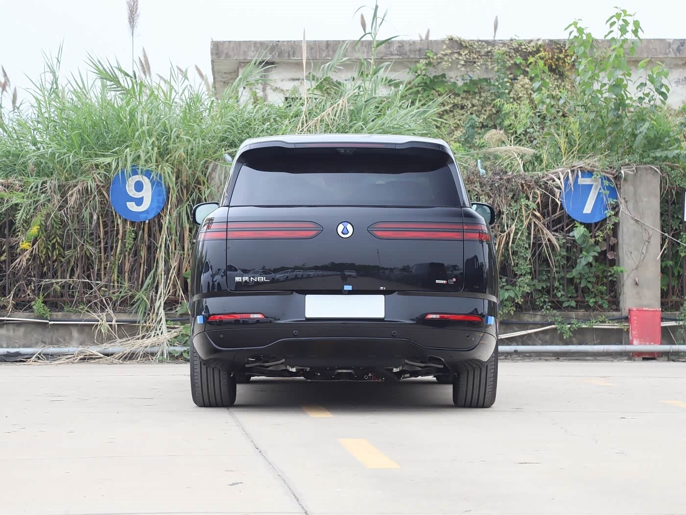 Denza 2025 N8L Premium Trim