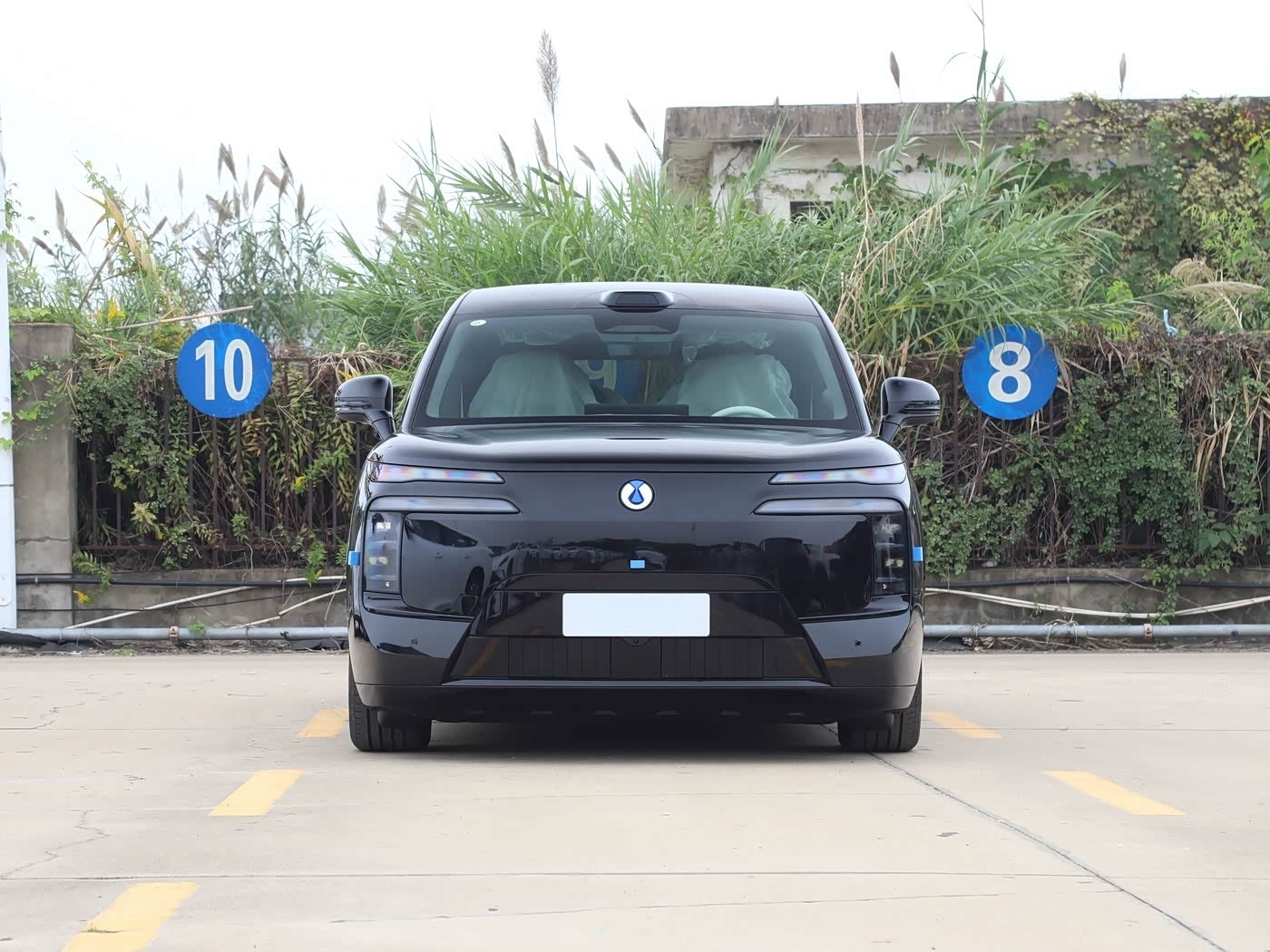 Denza 2025 N8L Premium Trim