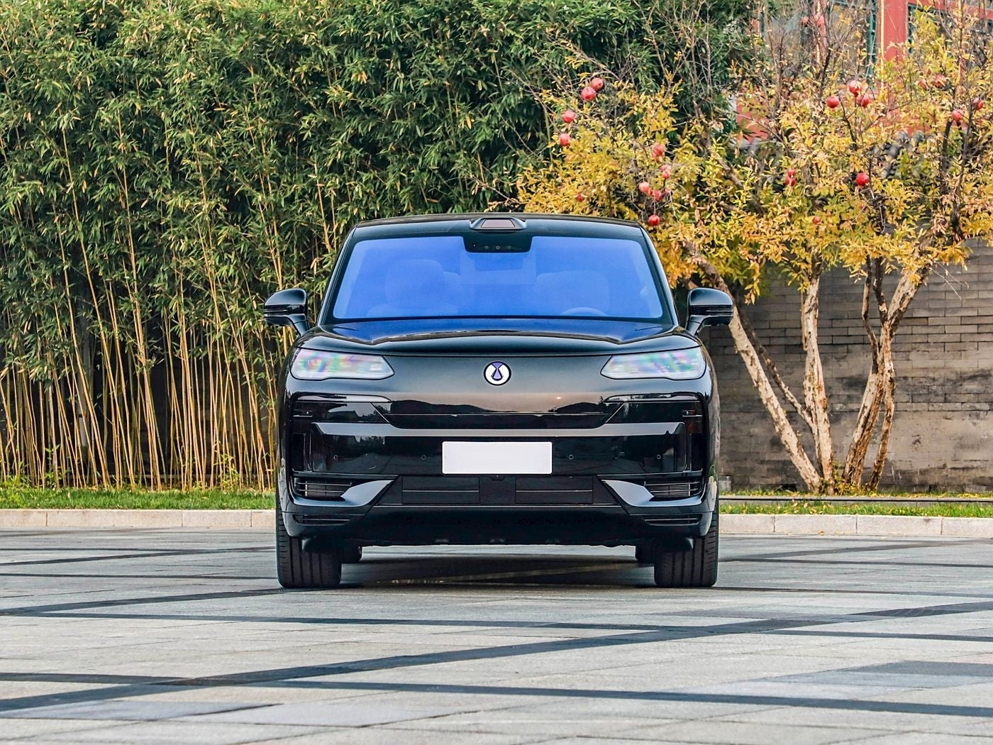 Denza N9 2026 Premium Trim