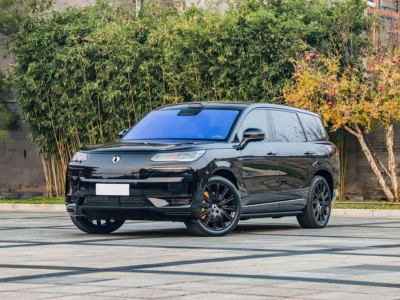 Denza N9 2026 Premium Trim