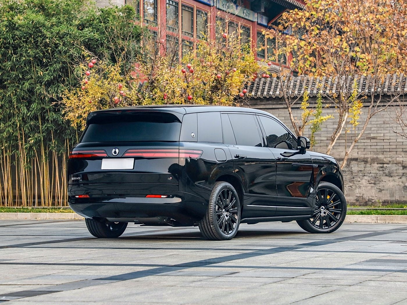 Denza N9 2026 Premium Trim