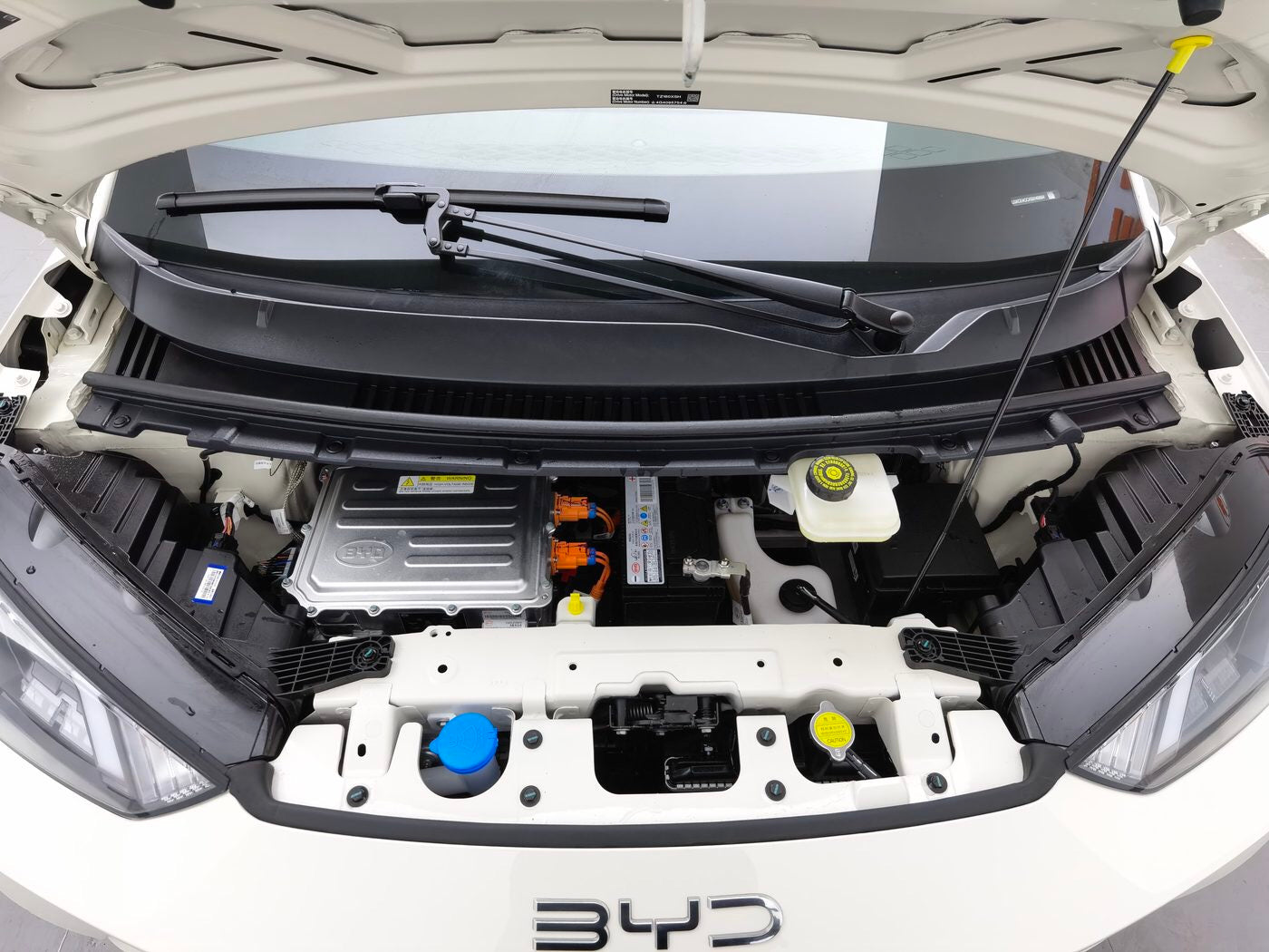 Used BYD Ocean Series Seagull 2025 Model 305km Dynamic Version 4-Seater Pure Electric front view for China car export