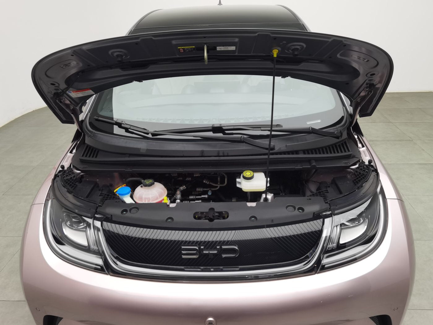 Used BYD Ocean Series Dolphin 2024 Model Glory Edition 401km Knight Version Pure Electric side view for China car export
