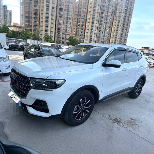 Haval H6 2023 1.5T National Trend Version Urban Edition AT - exterior view